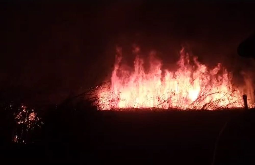 Incendio en Los Corralitos, Guaymallén Incendio en Los Corralitos, Guaymallén