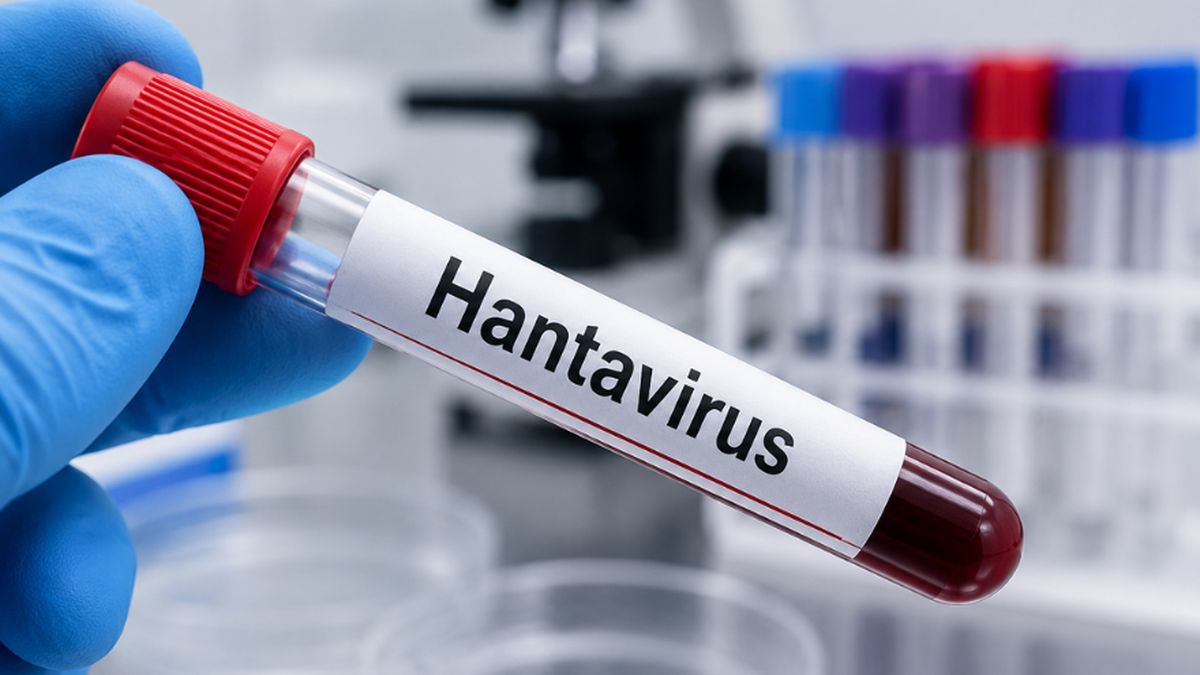 El mapa del hantavirus: cuántos casos hay, dónde están y cuántos se encuentran aislados