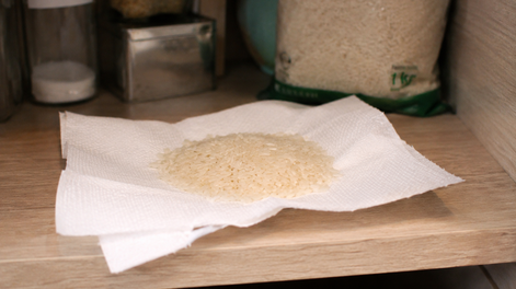 Los Andes | arroz