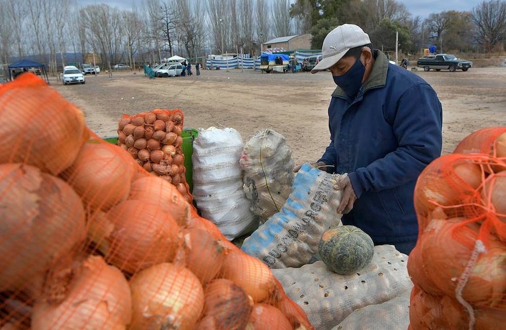 Un análisis del IDR muestra cuál ha sido la pérdida de poder adquisitivo de los agricultores, al comparar cuánto aumentó el precio que les pagan por las hortalizas y el que deben pagar ellos al comprar ciertos productos. Foto: Los Andes