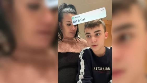 Una mujer le confesó a su hijo que regaló al hámster que tenía como mascota. / Gentileza
