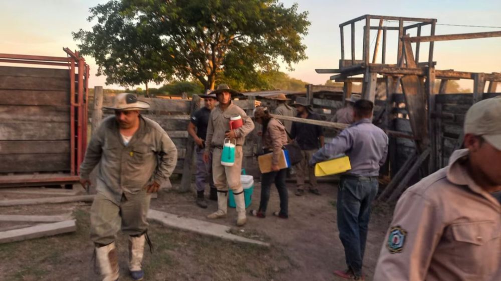 Personal del Departamento de Seguridad Rural Metropolitana durante el allanamiento del campo de Osuna / Foto Gentileza