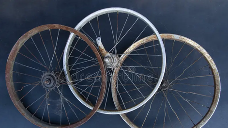 Ruedas de bicicleta pueden reciclarse en estructuras decorativas y soportes para plantas trepadoras en el hogar.
