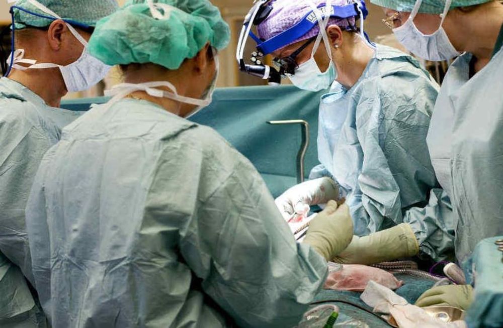 El trasplante de hígado realizado al nene rosarino que padecía una grave hepatitis resultó exitosa, pero las primeras 24 horas son las más críticas (AP).