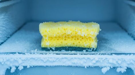 Por qué recomiendan guardar las esponjas de cocina en el freezer y para qué sirve