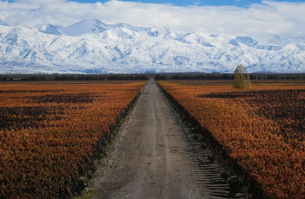 De acuerdo al pronóstico trimestral del Servicio Meteorológico Nacional, se espera un otoño normal en lo que hace a temperaturas y a precipitaciones. El final del verano fue más lluvioso y frío de lo normal. Foto: Claudio Gutiérrez / Los Andes.