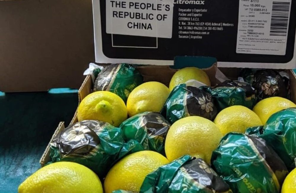 Después de negociar por dos décadas, Tucumán exporta limones a China