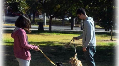 La caca de perro como factor de análisis sociopolítico - Por Héctor Ghiretti