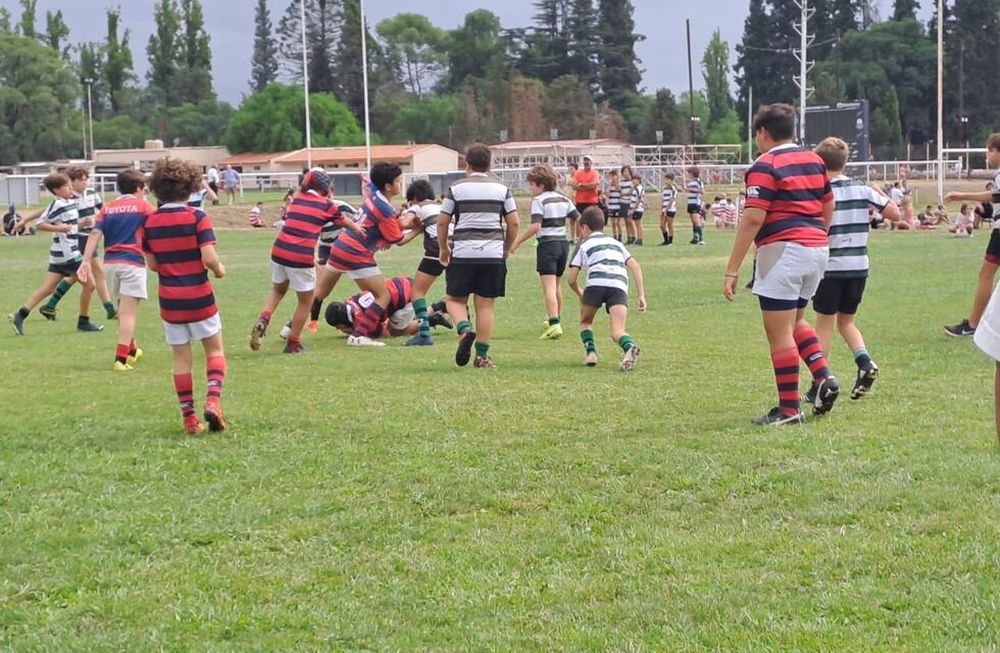 Se viene Pasá la Pelota Live, ciclo de charlas de promoción y prevención de la salud