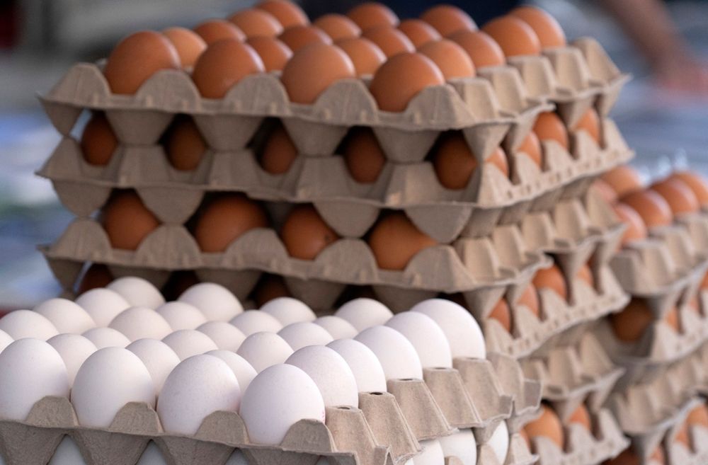 Argentina rompe récord de consumo de huevos: el superalimento que pasó de polémico a aliado de la salud