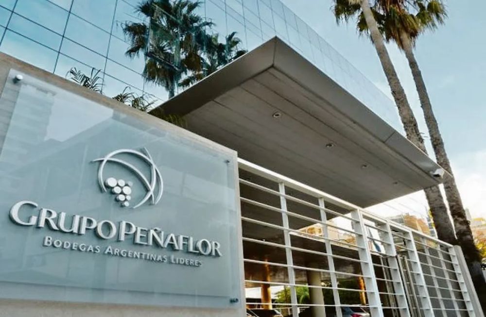 Grupo Peñaflor busca trabajadores para la temporada de Vendimia 2025. Foto: Gentileza