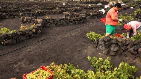 Se aproxima una crisis en la agricultura europea - Por Jorge Castro