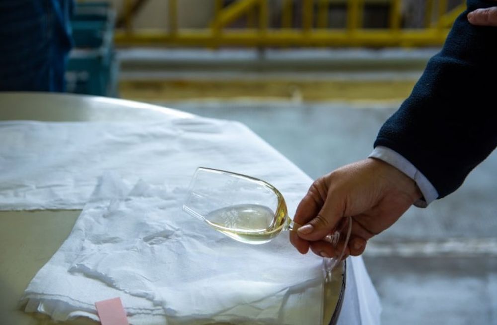 Cómo son los nuevos vinos de la UNCuyo y a quién le rinden homenaje