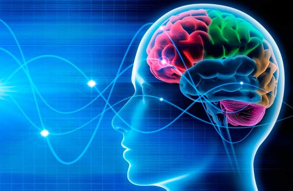 Ondas cerebrales: las diferentes formas en que piensa el cerebro antes de morir