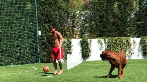 Mirá cómo Messi vuelve loco a su perro Hulk