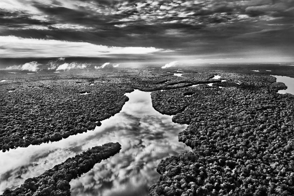 The Amazon, the world's largest tropical rainforest, shown in black and white by Sebastião Salgado, one of the world's most prominent contemporary photographers, who died at the age of 81.