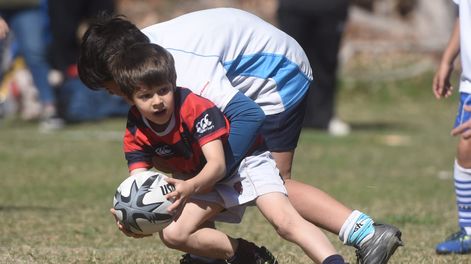 Una fiesta del rugby infantil se producirá en Los Tordos con 2.500 chicos y clubes de Argentina y Chile