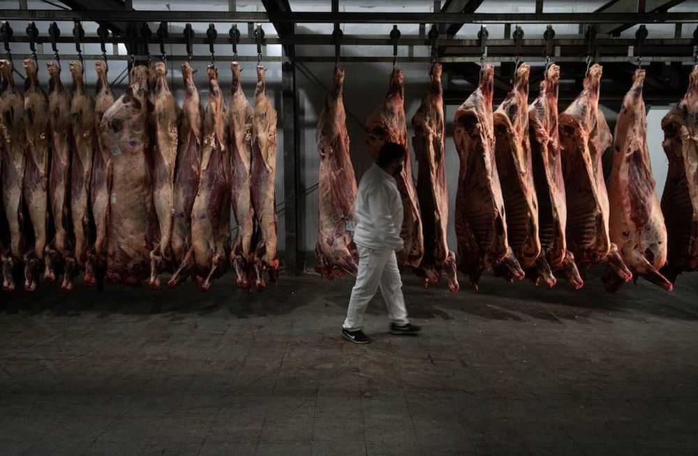 Argentina obtuvo la autorización para empezar a exportar carne bovina y ovina con hueso a Israel, el tercer comprador de los productos argentinos de origen animal. Foto: Ignacio Blanco / Los Andes