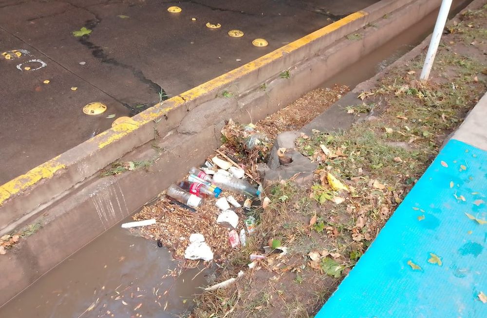 Vecinos de Las Heras reclaman en las redes sociales la falta de limpieza en las acequias del municipio