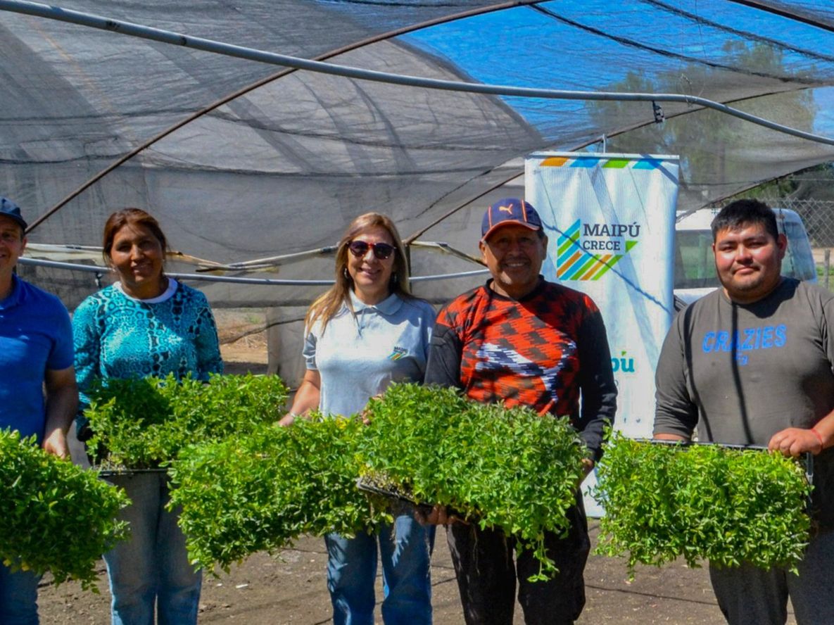 Maipú acompaña a más de 200 productores con el programa Autoproducción de semillas
