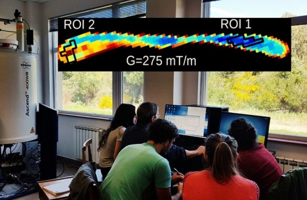 Una postal del trabajo del equipo del investigación del nodo Bariloche del Instituto de Nanociencia y Nanotecnología - Foto: Analía Zwick