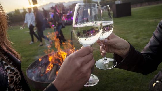Mendoza es la provincia donde más Sauvignon Blanc hay plantado. - Ignacio Blanco / Los Andes