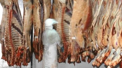 En la carne vacuna, el crecimiento de las ventas globales fue de casi el 20% entre enero y mayo, en comparación con el mismo período del año pasado