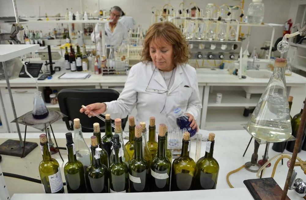 Restablecer el ex consejo  directivo del INV