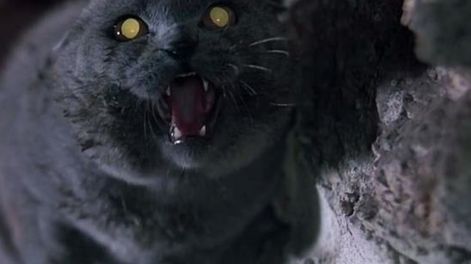 Los Andes | GI4TTXGWKFASTHVXXOB7OPTOKI.jpg?quality=75&smart=true&auth=0d163e7878cdb6abcd6669bcbf121131274f3c3982a2b96b0328dac86938fa7b&width=980&height=640