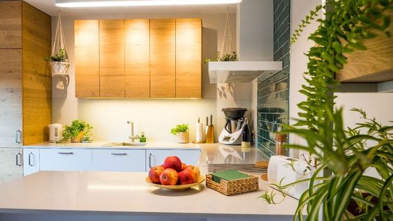 4 ideas para tener tu propio huerto urbano en la cocina