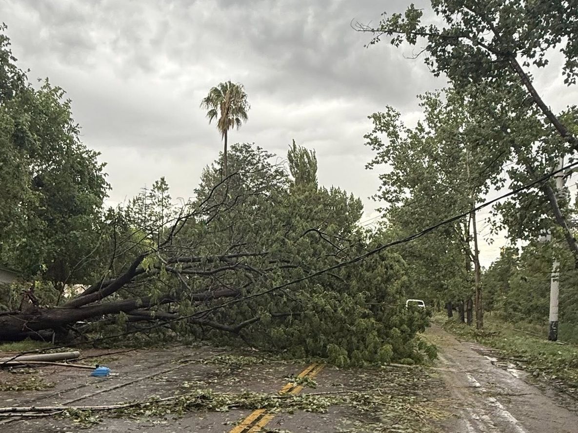San Martín: un poste cayó sobre un motociclista en Ruta 50 durante el temporal.