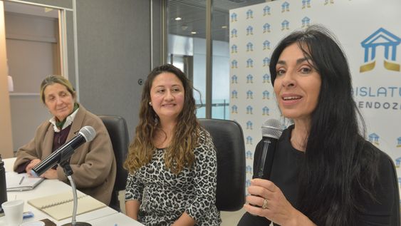 La Comisión de Hidrocarburos, Minería y Energía, presidida por la senadora Jésica Laferte, recibió a la geóloga María Ahumada para hablar sobre la industria minera metalífera.