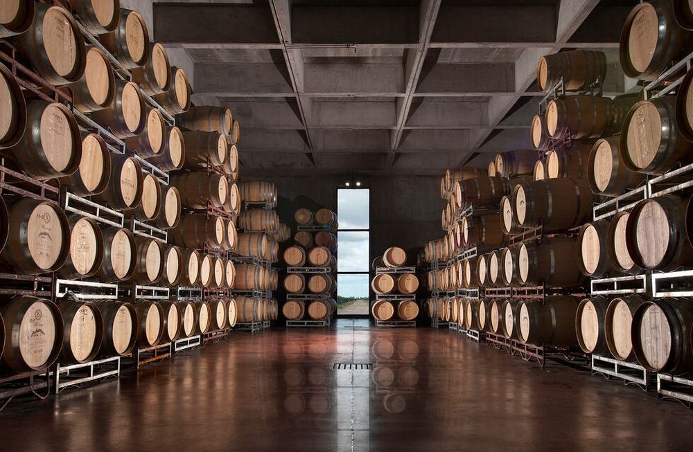 La calidad de los vinos de bodega Séptima dirá presente en la feria de Guarda14