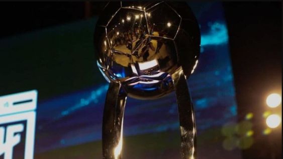 Copa de Liga Profesional.