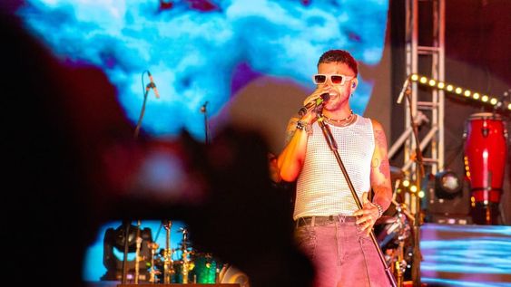 Festival del Malbec y el Olivo en Maipú