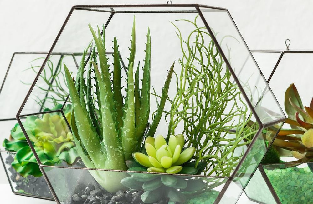 Un terrario es un recipiente en el que se tratan de reproducir, de manera artificial, las condiciones de un hábitat específico con el fin de crear un ambiente ideal para un reptil o un grupo de insectos. Foto: 123RF