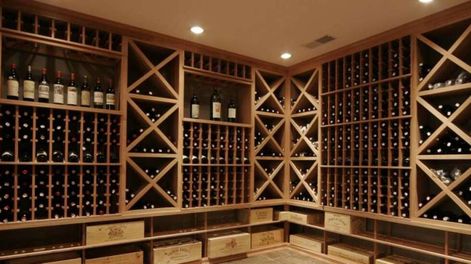 ¿Sobrevivir o evolucionar? - Por Soledad Gonzalez