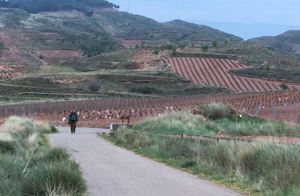 Los Caminos de Santiago conducen a San Rafael