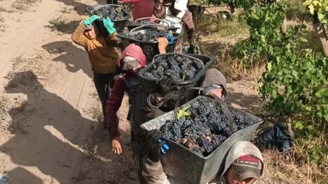 Qué aumentos han definido algunos gremios para cerrar 2023 por encima de la inflación.