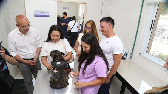 guaymallen tiene un nuevo centro integral veterinario: que ofrece y como solicitar turno