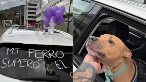 Superó el cáncer y conmovió a todo el mundo.