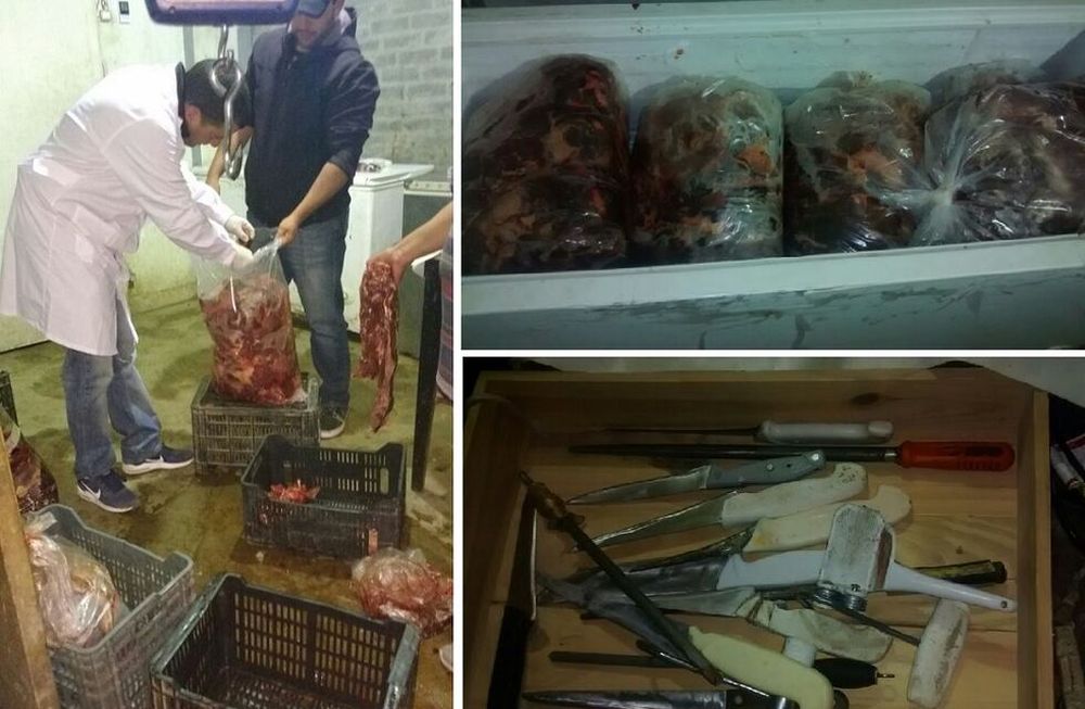 Secuestraron una tonelada de carne de caballo y detuvieron a una banda que los faenaba