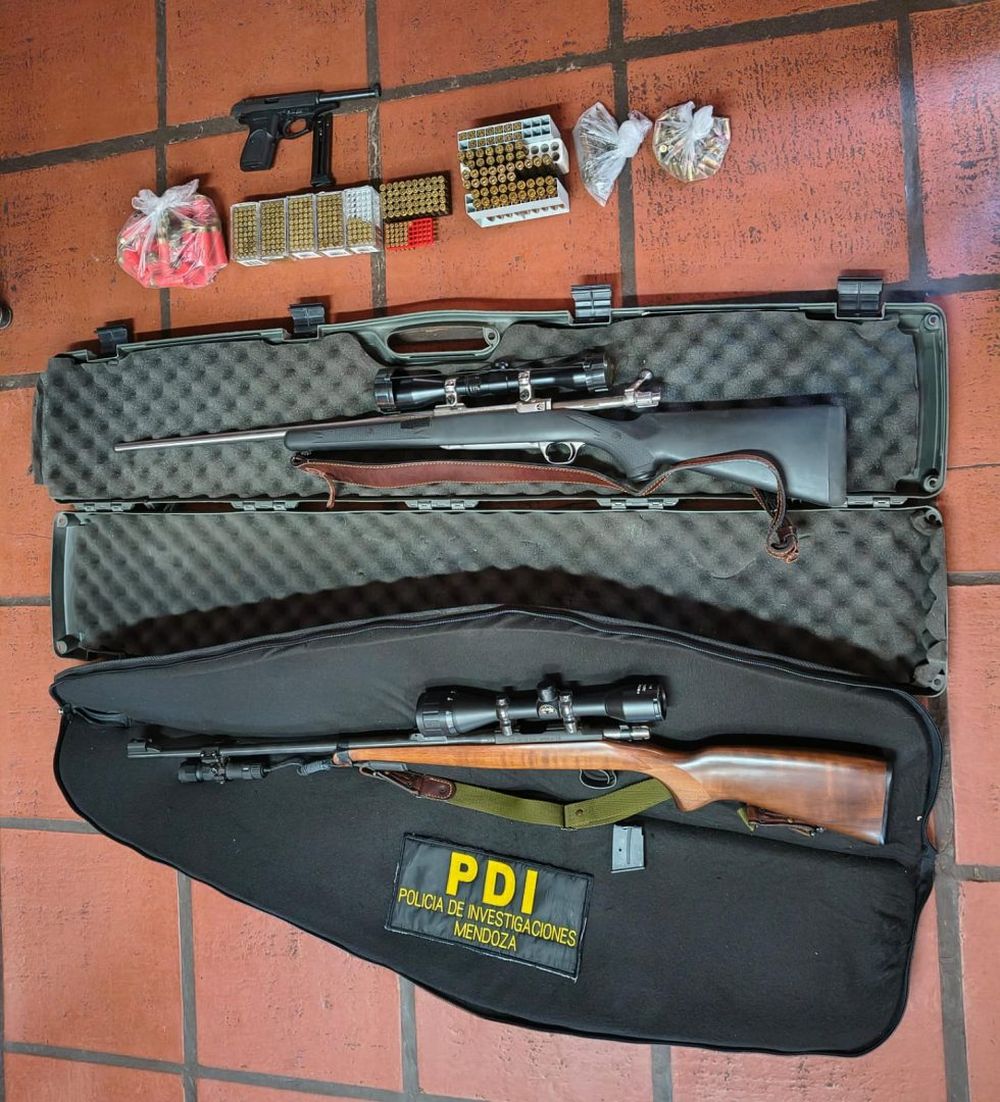 Armas decomisadas. Gentileza Ministerio de Seguridad y Justicia. 