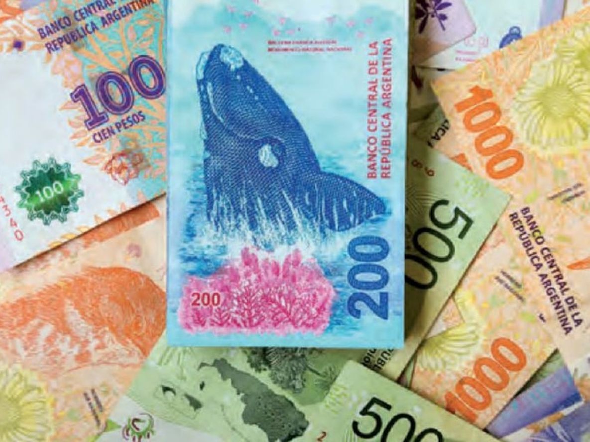 Anses pagará $8.100 en septiembre de 2021: consultá con tu DNI si te toca cobrarlo (Imagen ilustrativa / Web)