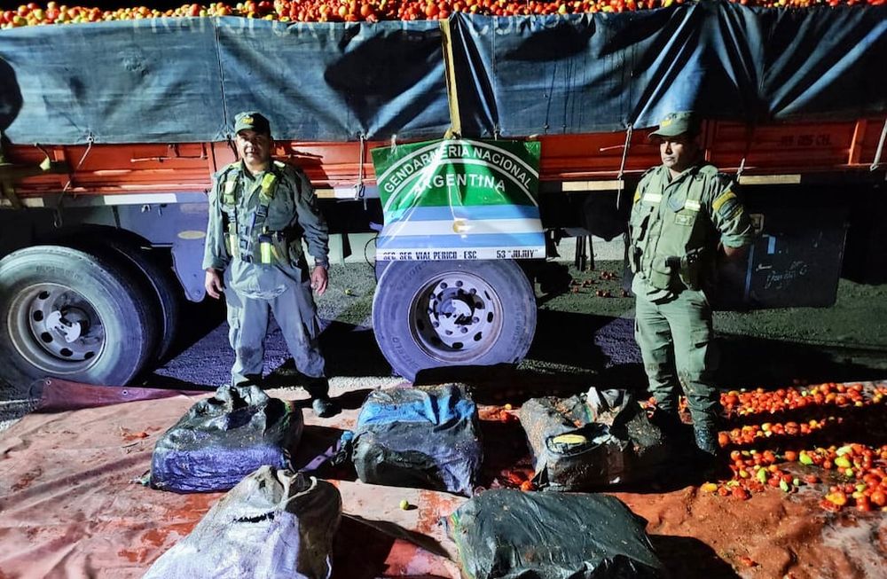 La marihuana encontrada en una carga de tomates. Gentileza Gendarmería Nacional.