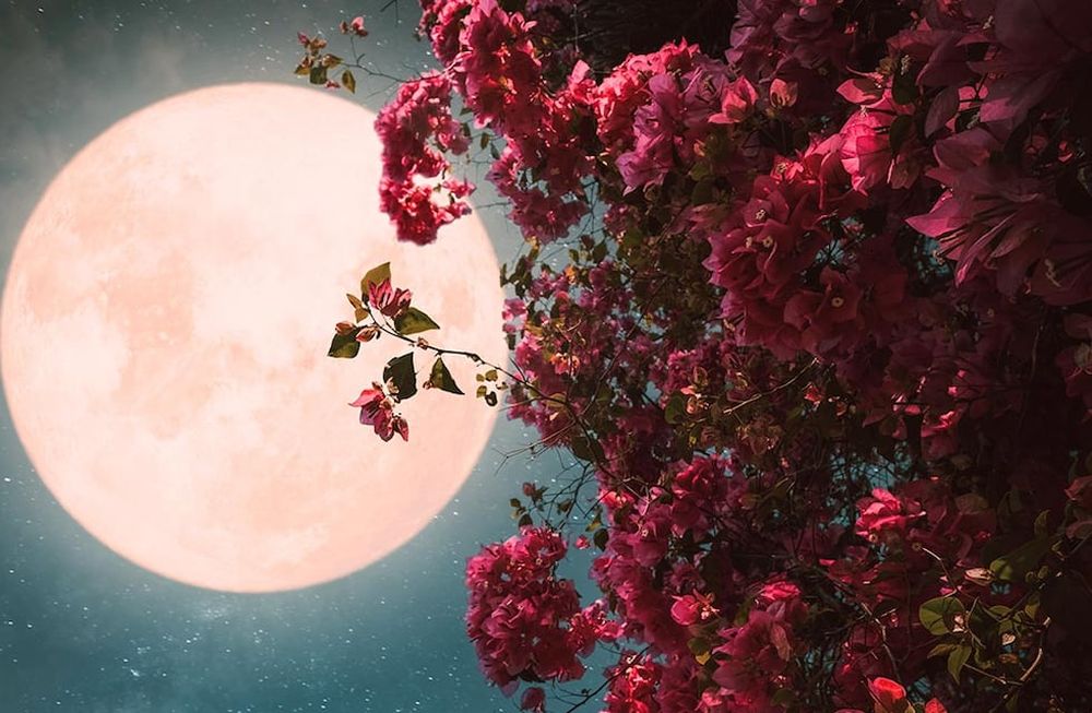 Luna llena de mayo 2023, la Luna de las Flores. Foto: Diario AS