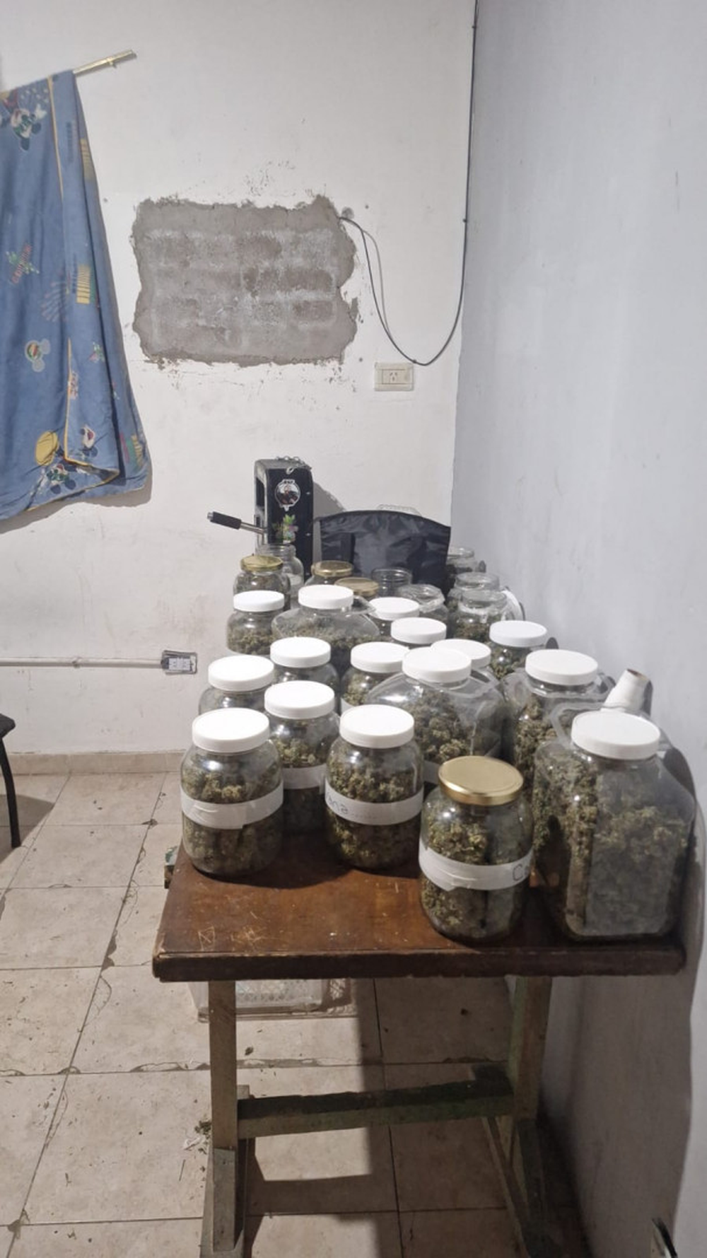 Operativo en Mendoza: secuestran cannabis, municiones y documentos extranjeros.