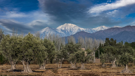 Turismo y productos saludables, una combinación que crece.