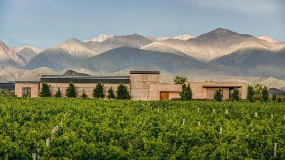 Cuatro bodegas de Tunuyán, premiadas con medalla de oro
