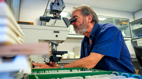 Salvador Martínez, Investigador principal de un estudio sobre las repercusiones del covid-19 en el feto durante el embarazo.